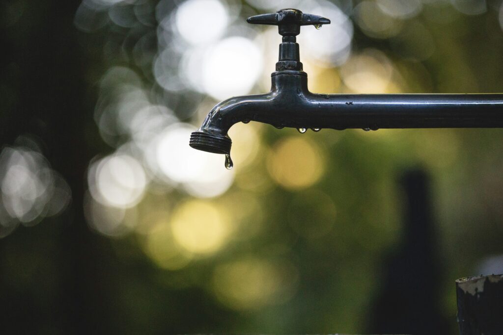 Acqua e agricoltura irrigazione siccità risorse idriche intervista paolo romano vittorio viora