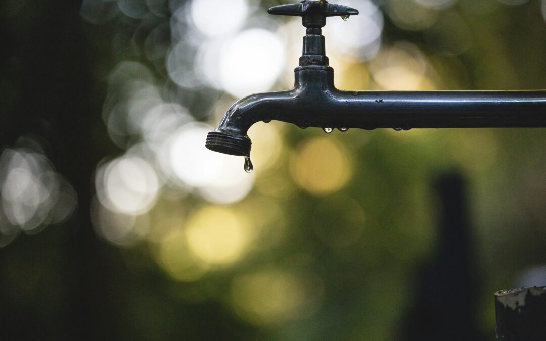Acqua e agricoltura: tra piogge e siccità, la parola agli esperti